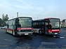 Westfalen Bus MS-NV 620
